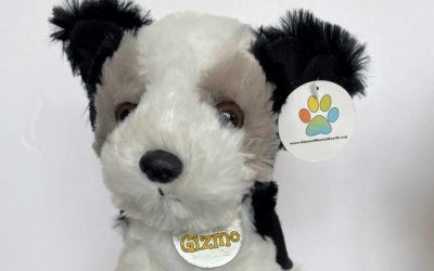 What is Prevention Anyway?